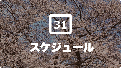 スケジュール