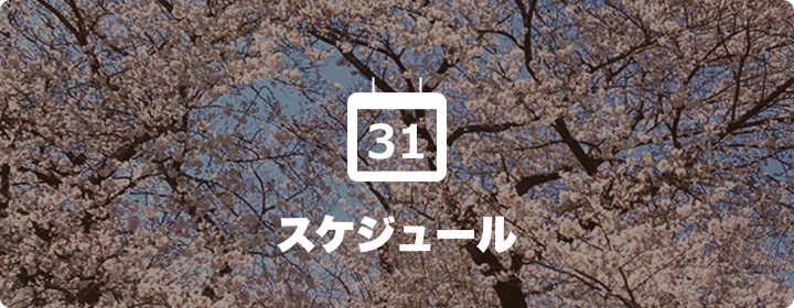 スケジュール